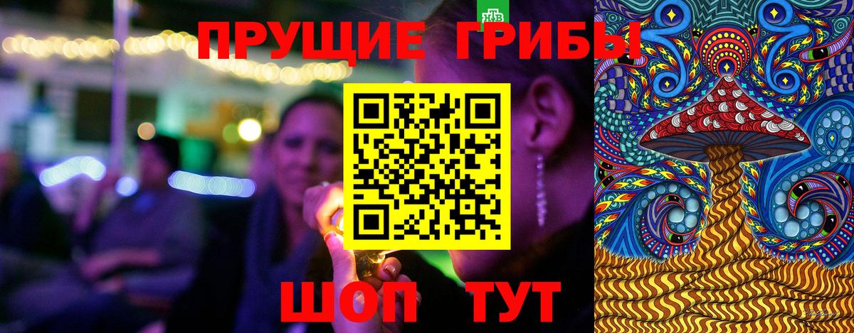 Псилоцибиновые грибы Psilocybe  Псилоцибиновые грибы ЛСД  Кинель  закладки  Вход с VPN 