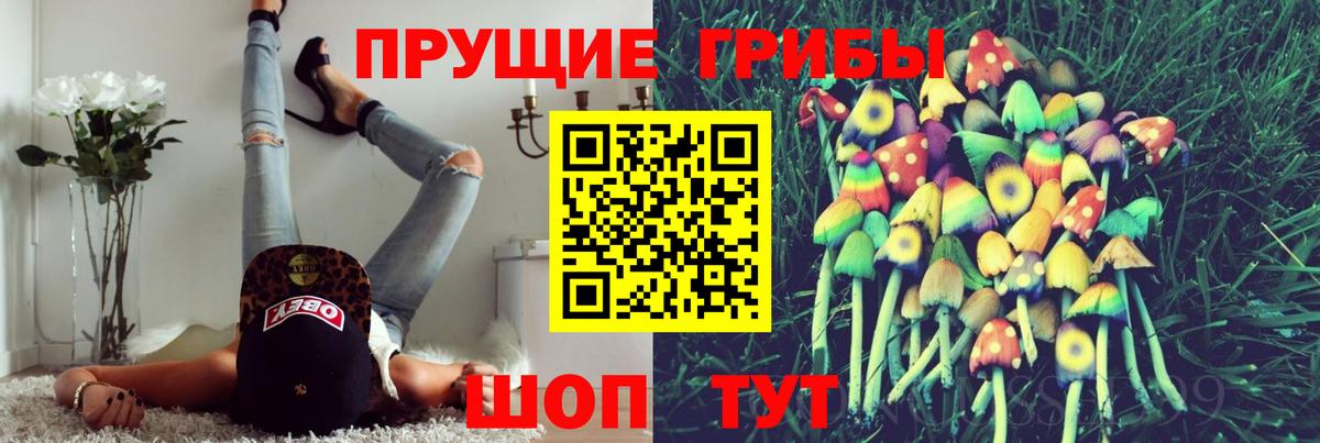 Галлюциногенные грибы ЛСД Кинель
